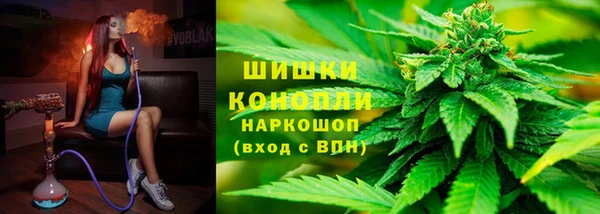 гашик Богородск