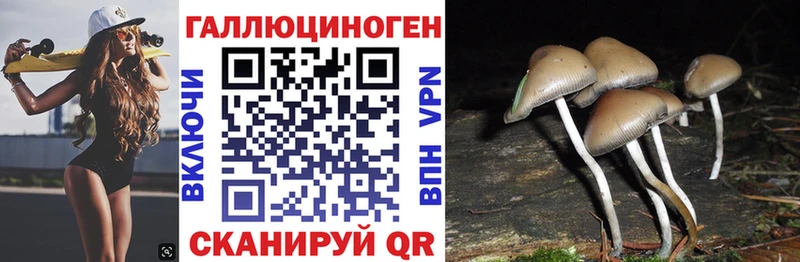 Псилоцибиновые грибы ЛСД blacksprut рабочий сайт Великий Устюг