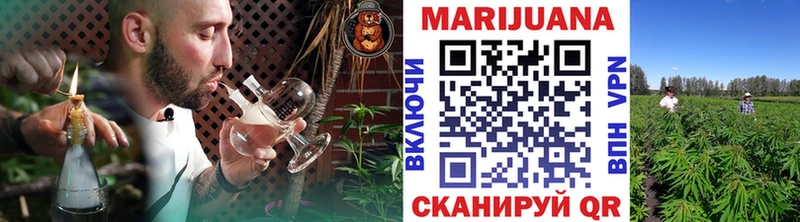 Бошки Шишки Amnesia  Великий Устюг 